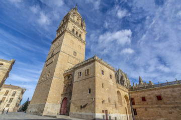 Fototapeta na wymiar Torre de la Catedral vieja de Salamanca