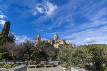 Fototapeta na wymiar Vista de las torres de la Catedral de Salamanca desde el Huerto de Calixto y Melibea