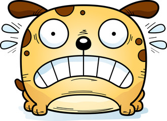 Terrified Little Dog