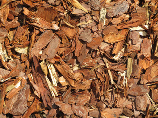 Decorative wood chips background. Brown pieces of tree bark, wooden splinters closeup. Top view, sunny day with shadows