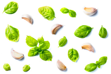 Fresh Basil leaves with garlic on white background