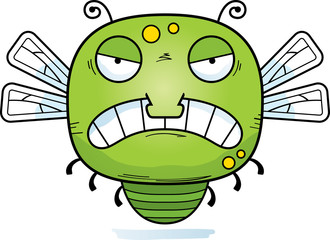 Angry Little Dragonfly
