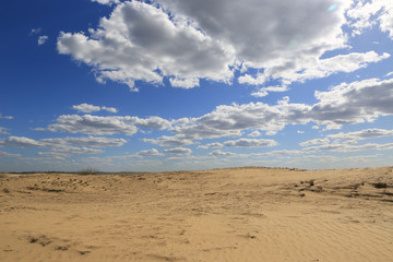 Fototapeta na wymiar sandy desert scene