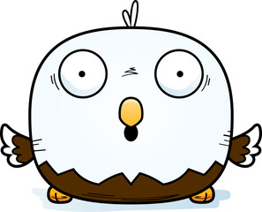 Surprised Little Bald Eagle