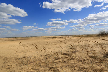 nice clouds in sandy desert