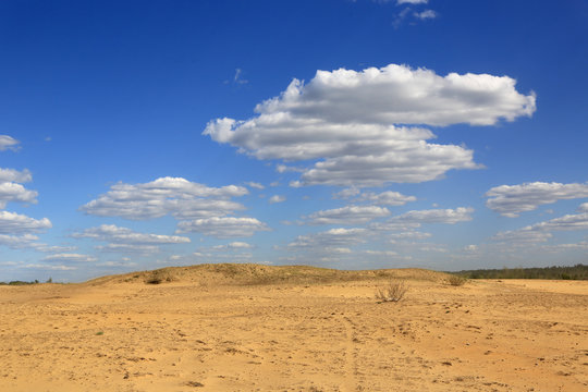 yellow and blue in sandy desert