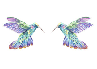 Dos colibrís