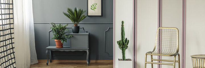 A gold, metal chair standing in front of the screen with a cactus next to it and grey shelf with plants standing next to a wall with drawing in dark room interior