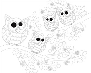 Coloring book for adult and older children. Coloring page with cute owl and floral frame. Outline drawing in zentangle style