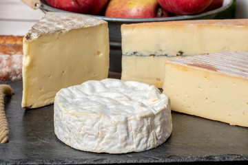 Normandy camembert with other cheeses