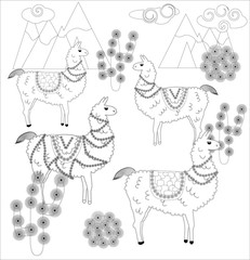 Coloring page of cartoon lama. Vector illustration, coloring book for kids. © MichiruKayo