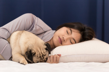 Cute pug dog sleep with owner in bedroom feeling so happiness and comfortable