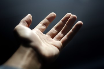 Hand Reaches Up Toward the Light - 206231318