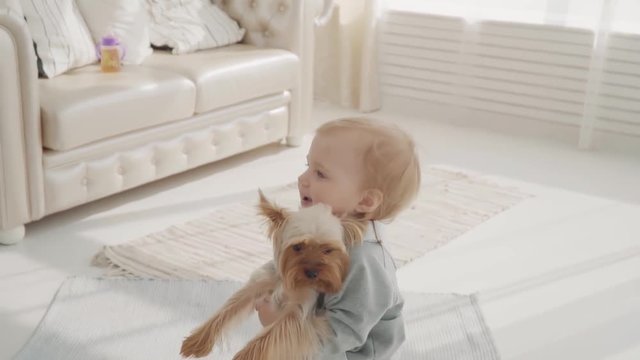 Little lovely girl relates the dog to her farther. Happy family. Slow motion