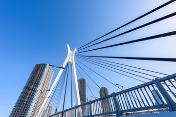 Fototapeta na wymiar 中央大橋と高層マンション High-rise condominium and bridge