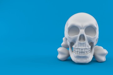 Obraz premium Skull