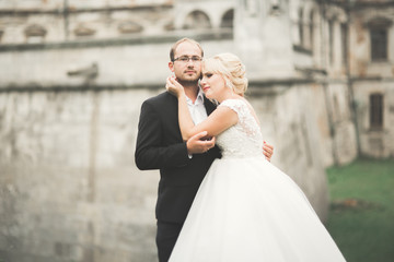 Naklejka premium Beautiful romantic wedding couple of newlyweds hugging near old castle