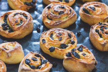 baked rolls with raisins