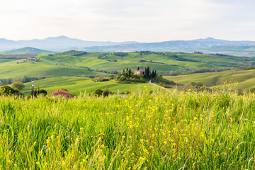 Flowering meadow in a hilly landscape