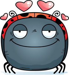 Little Ladybug in Love