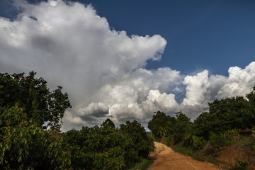 Beautiful path in tropical landscape with amazing cloudy blue sky, huge white cloud, Chiang Mai, North Thailand 