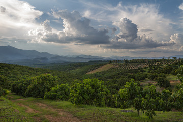 North Thailand landscape with path, mountain and longan fields with amazing cloudy sky and beautiful light