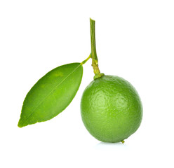Lime isolated on white background