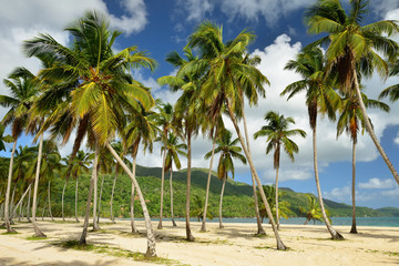 Fototapeta na wymiar The Rincon beach wild and hard to reach on the Samana peninsula in Dominican Republic