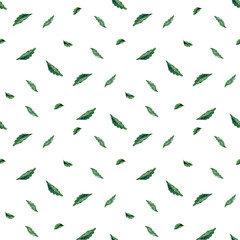 Watercolor seamless botanical pattern. Leaves, herbs background. Hand painting. Green grass texture.