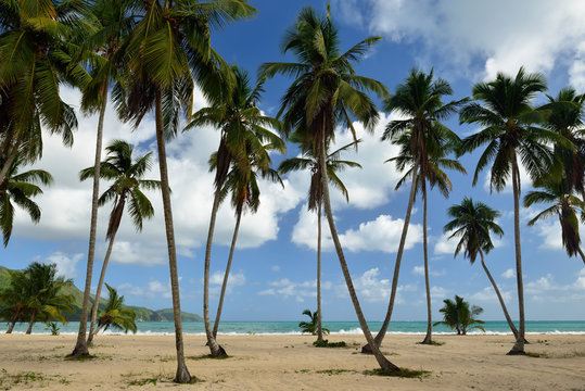The Rincon beach wild and hard to reach on the Samana peninsula in Dominican Republic