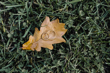 wedding rings on a leaf in the grass