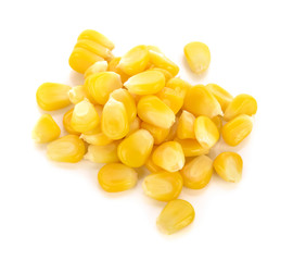 Maize isolated on white background