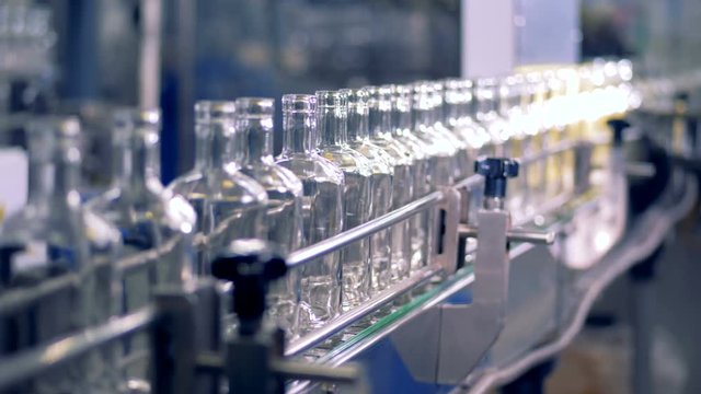 Glass bottles move on a conveyor.