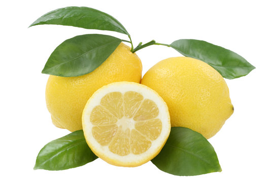 Zitrone Frucht Früchte Freisteller freigestellt isoliert
