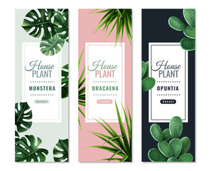 Realistic House Plants Vertical Banners © Macrovector