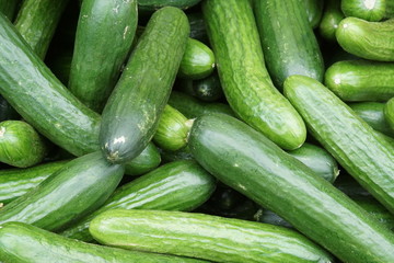 cucumber