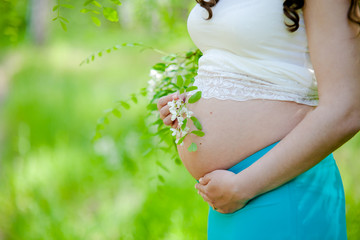 Brzuch kobiety w ciąży na zielonym tle - obrazy, fototapety, plakaty