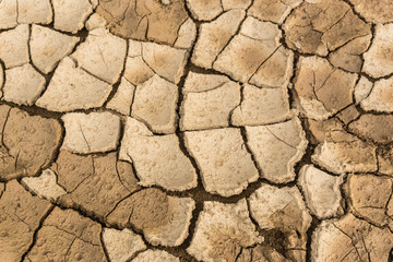 concept about drought or climate change