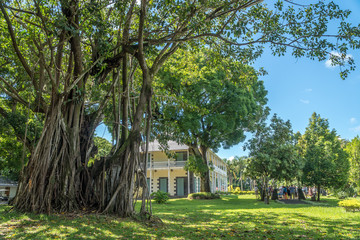 Sir Seewoosagur Ramgoolam Botanical Garden, Mauritius
