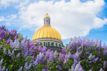 Saint Isaac's Cathedral (Isaakievskiy Sobor) in the flowers of lilac and Apple trees