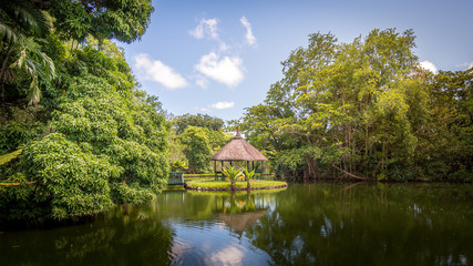Fototapeta na wymiar Sir Seewoosagur Ramgoolam Botanical Garden, Mauritius
