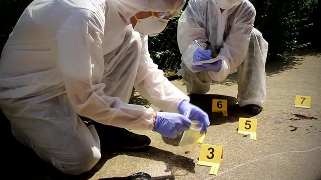 Forensic experts team  collect evidence at the crime scene. Forensic science