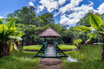 Sir Seewoosagur Ramgoolam Botanical Garden, Mauritius