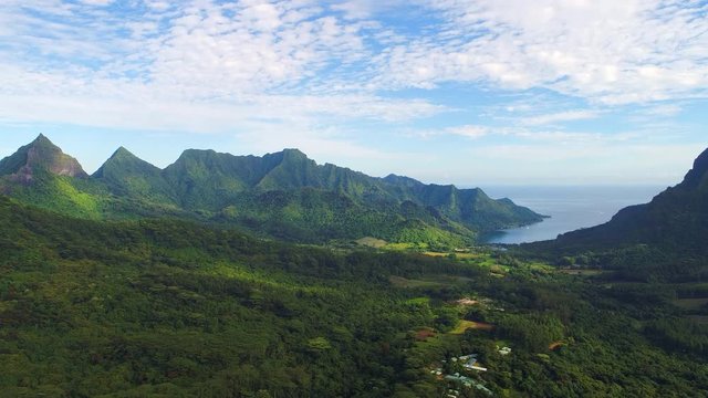 Aerial view of tropical paradise of Moorea island, lush green vegetation - South Pacific Ocean, French Polynesia landscape from above, 4k UHD