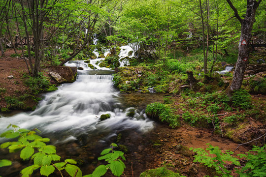 River spring with cascade in the forest surrounded by rocks and moss, travel destination, Grza, Paracin, Serbia