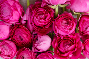 Flowers flat lay composition