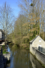 Obraz premium River Aure with trees in the town of Bayeux, a commune in the Calvados department in Normandy in northwestern France