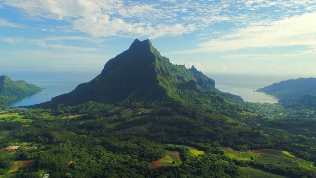 Aerial view of Mount Rotui, lush green jungle, picturesque hills, mountains, valleys and bays - Moorea island, South Pacific Ocean, French Polynesia landscape from above, 4k