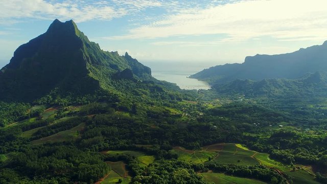 Aerial view of Mount Rotui, lush green jungle, picturesque hills, mountains, valleys and bays - Moorea island, South Pacific Ocean, French Polynesia landscape from above, 4k