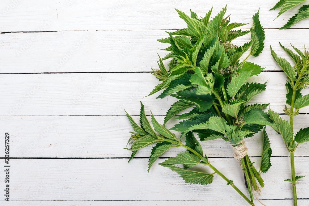 Wall mural fresh nettles on a white wooden background. top view. copy space.